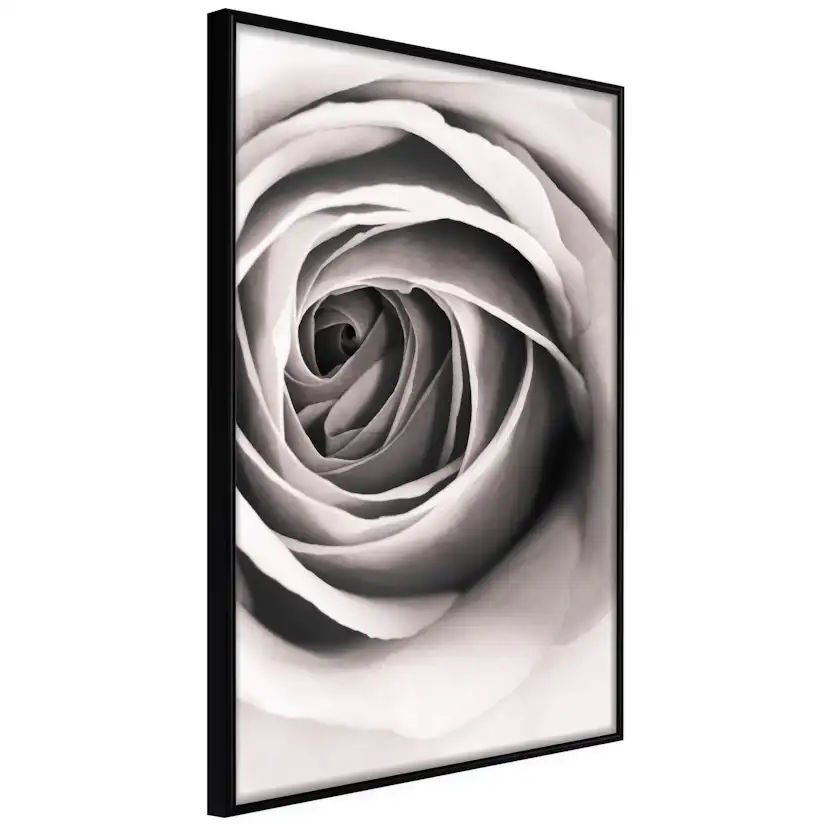 Poster Artgeist Affisch Rose Vortex