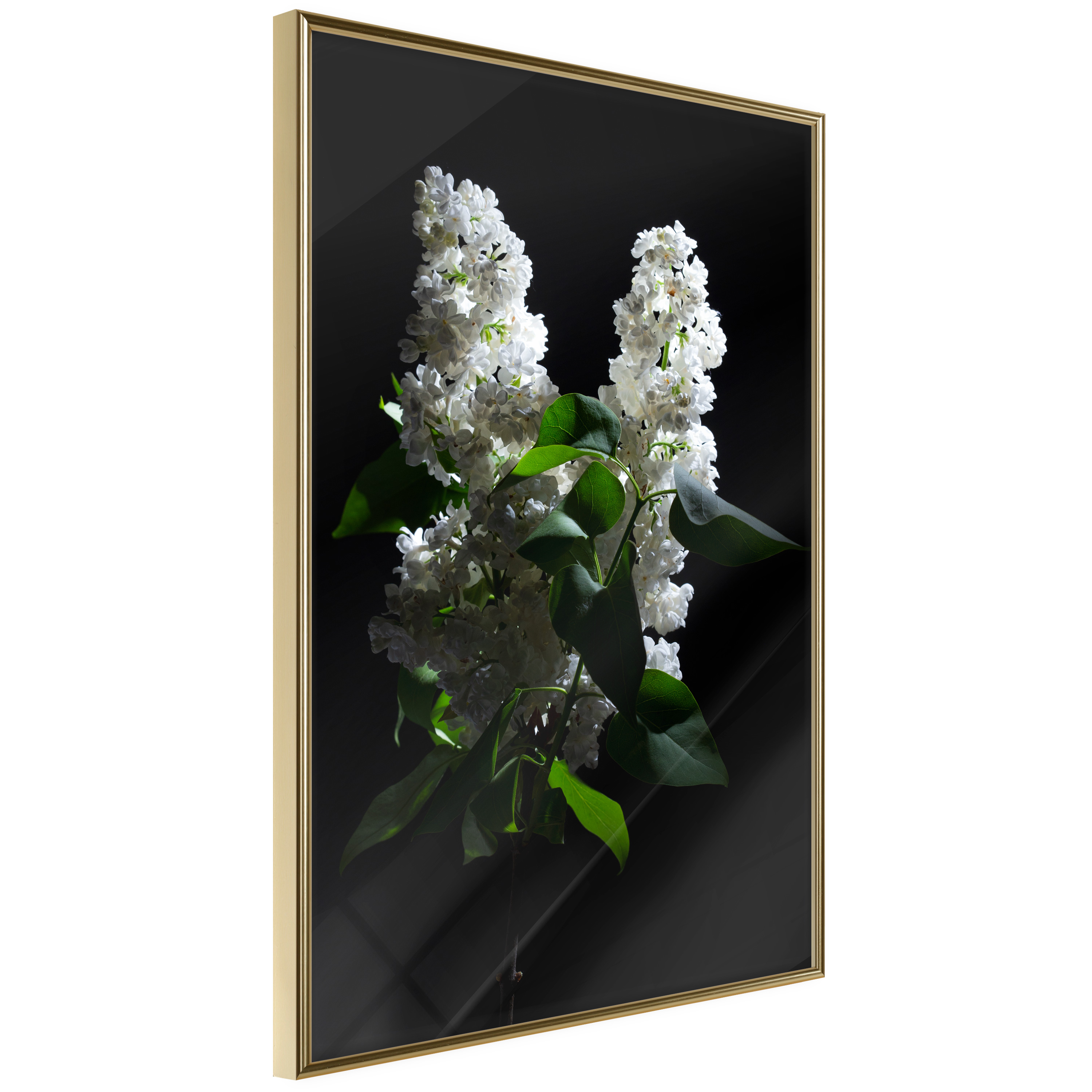 Affisch - Lilacs at Night [Poster] 40x60 Guld ram, 40x60 cm