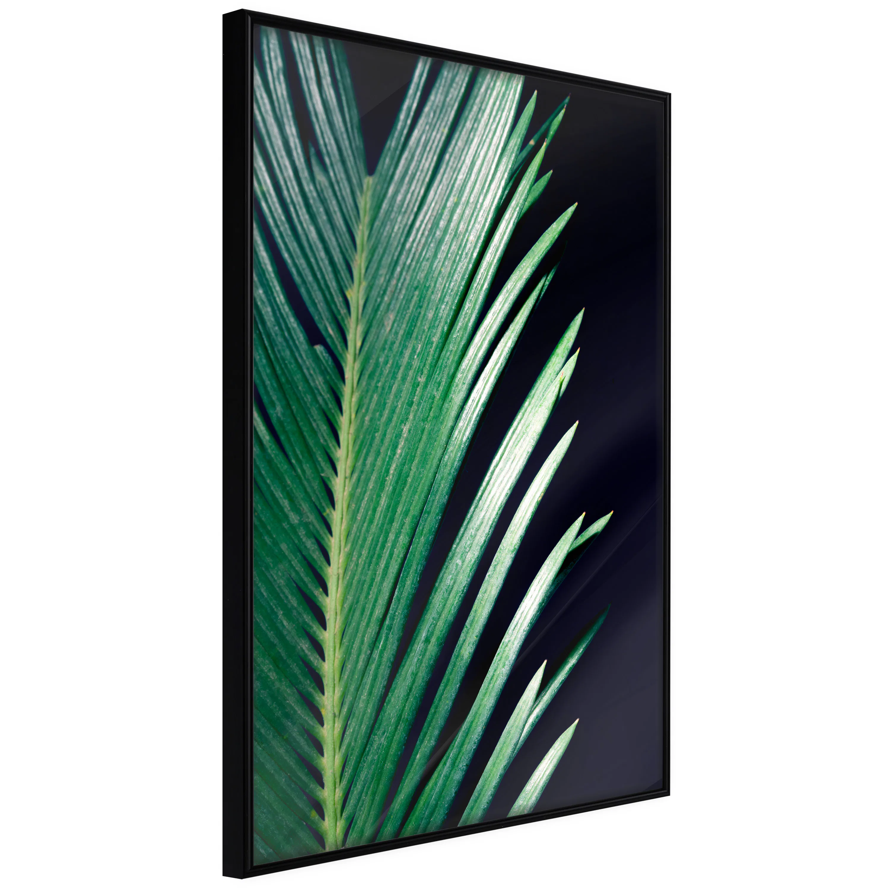 Poster Artgeist Affisch Sharp Leaves