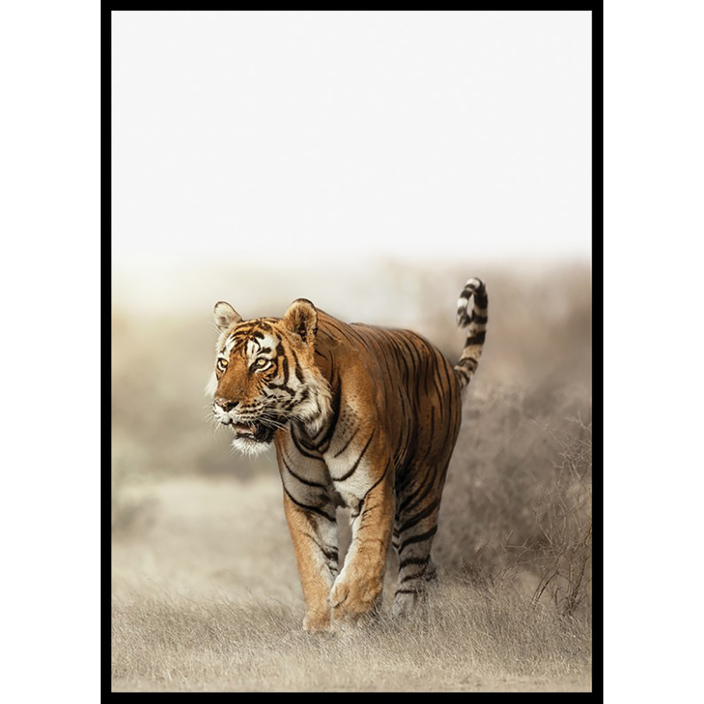 Poster Gallerix Tiger Walk