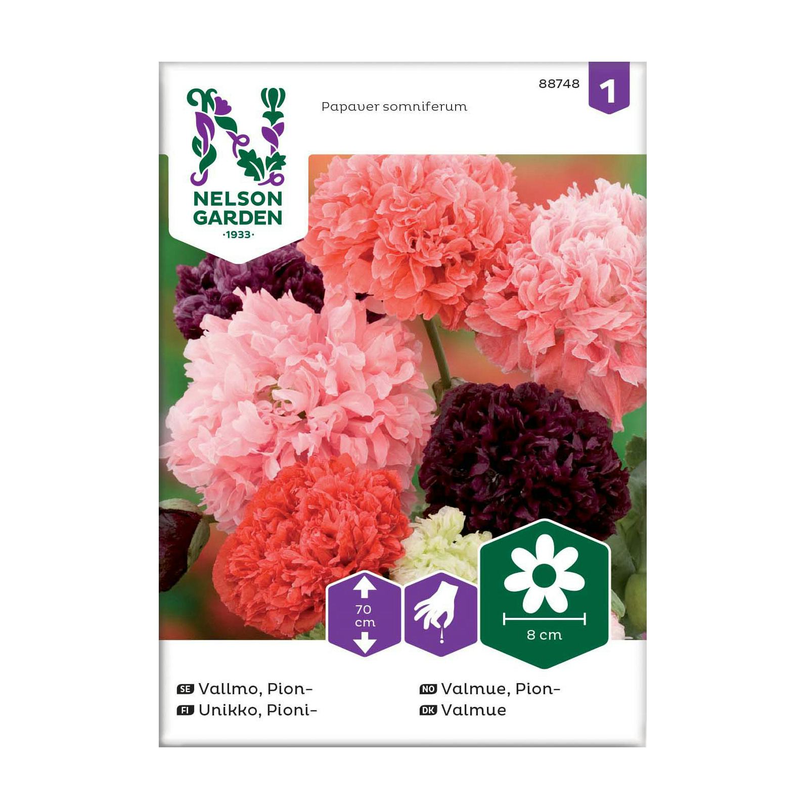 Frö Pionvallmo Nelson Garden Mix