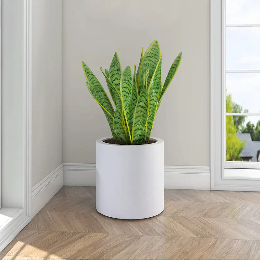 Kruka Lyfco Rund och Hög Vit 3-pack