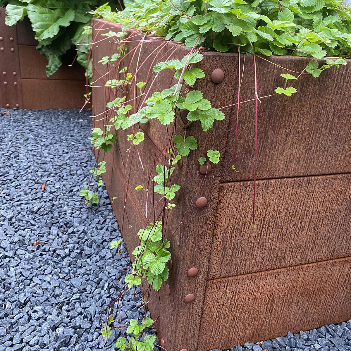 Odlingslåda Flexigarden Cortenplåt 2 mm 800x1200x600 mm