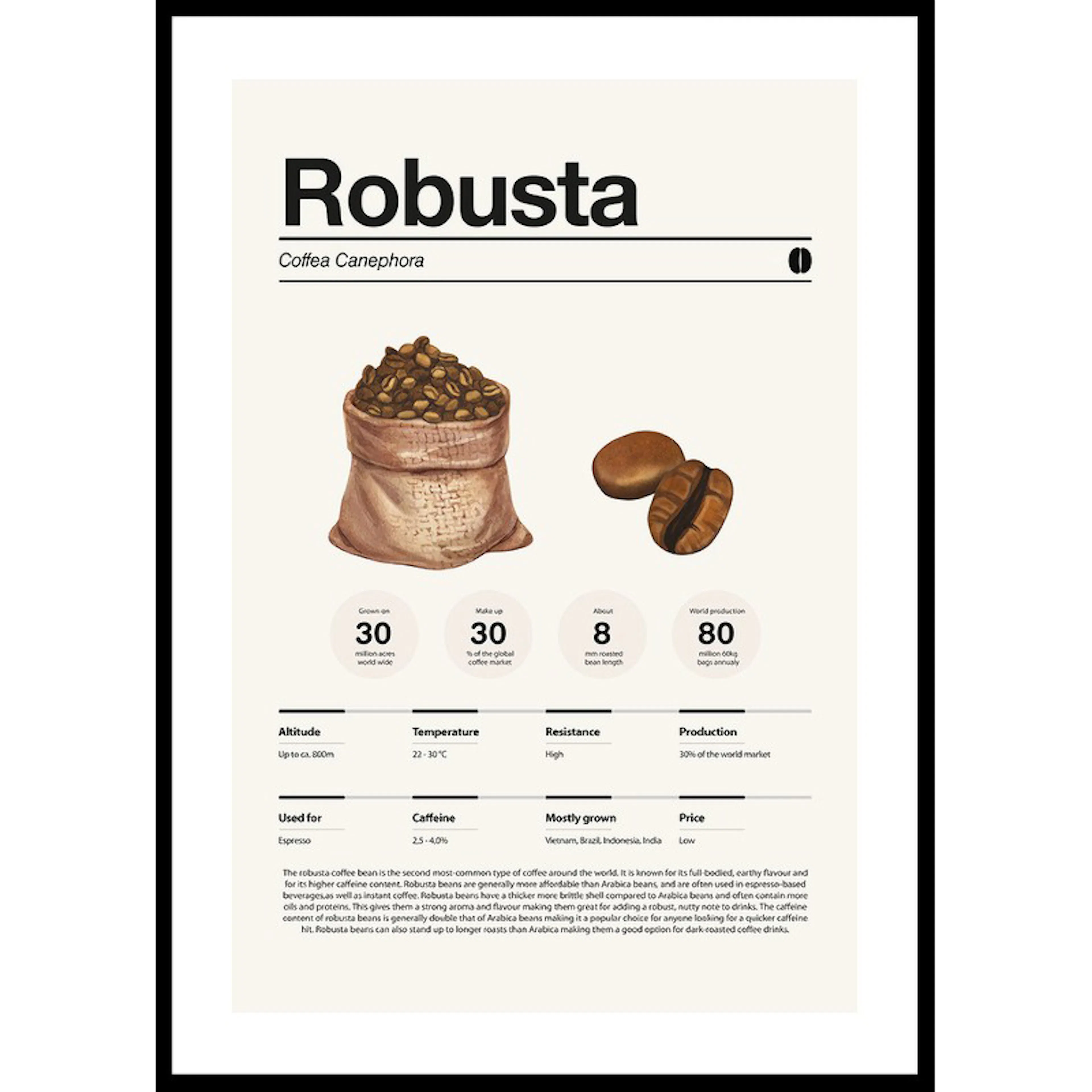 Robusta Coffee Beans 30x40 30x40 cm