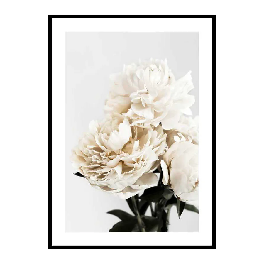 Poster Gallerix Peonies Closeup