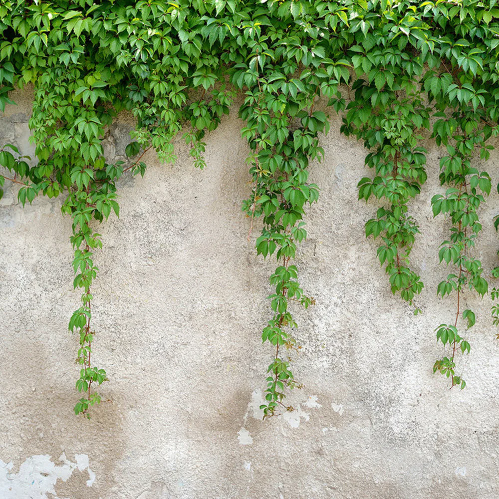 Fototapet Living Walls Designwalls DD118712