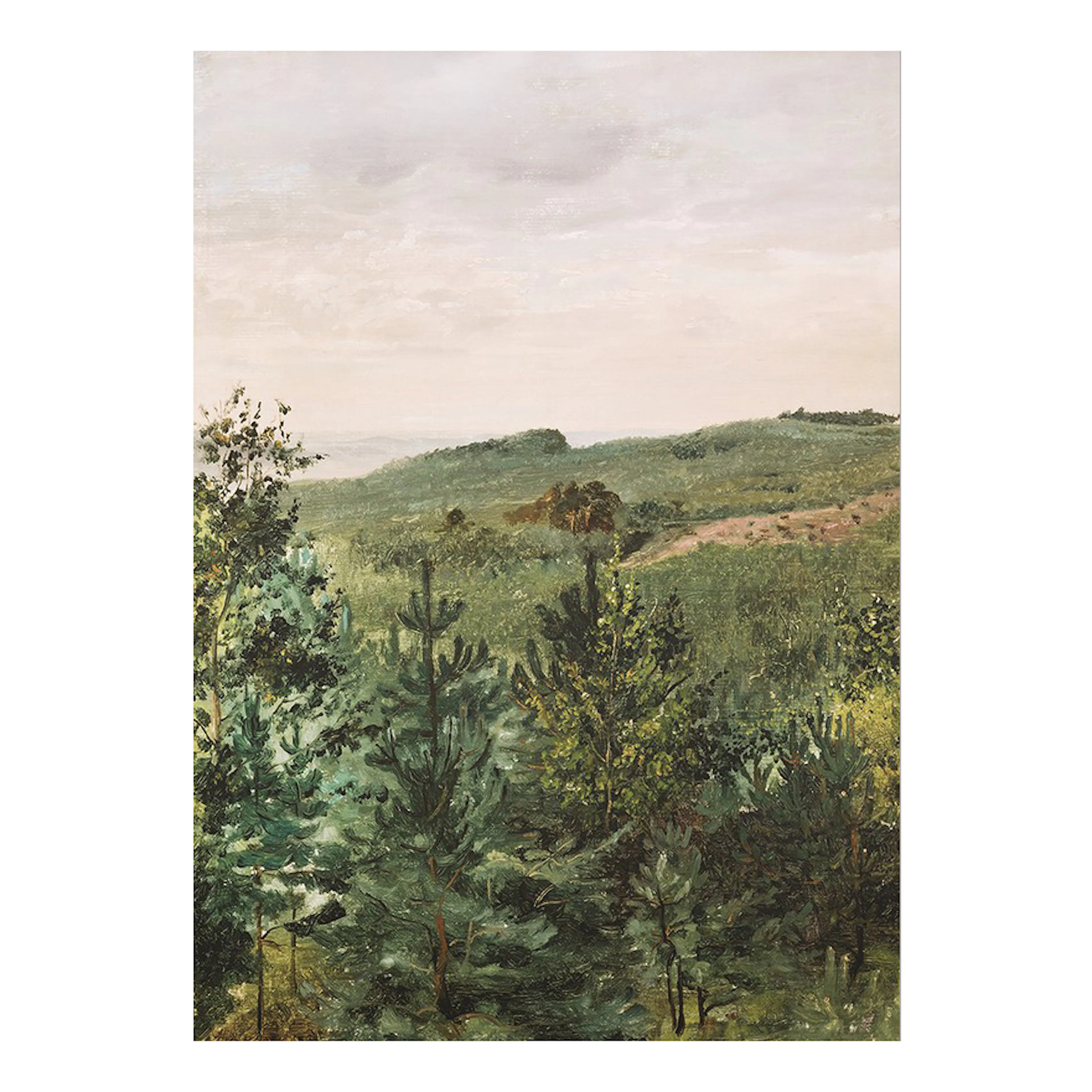 Spruce Saplings in Sandy Soil Study By Werner Holmberg 21x30 30x21