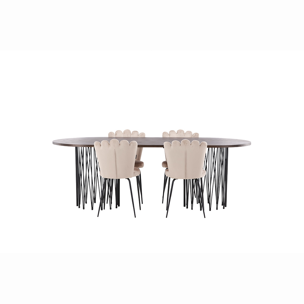 Matgrupp furniture/fashion Stone med 4 Limhamn Light Stolar