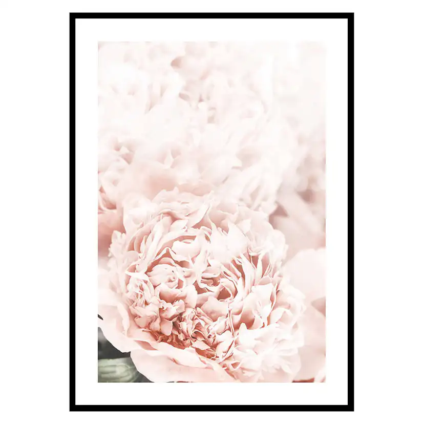 Poster Gallerix Loving Roses No1