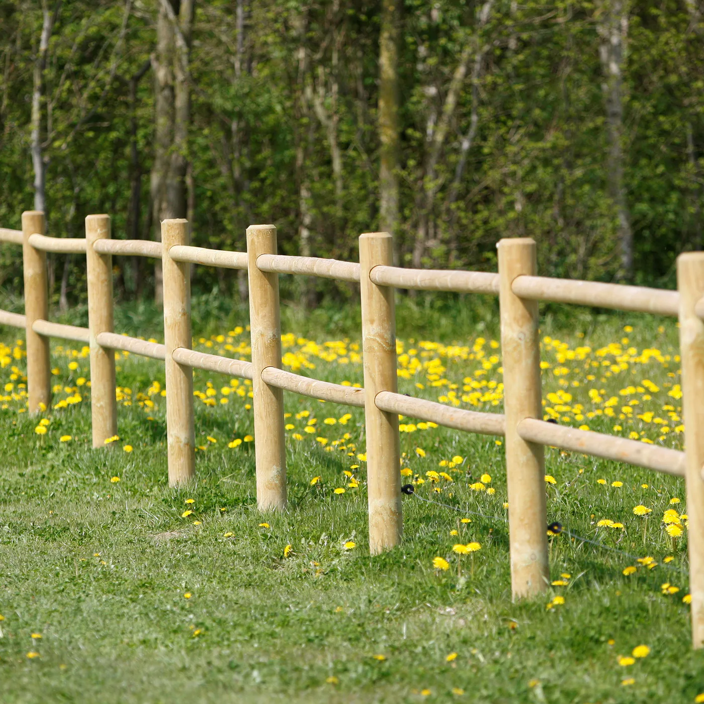 Häststängsel Hortus