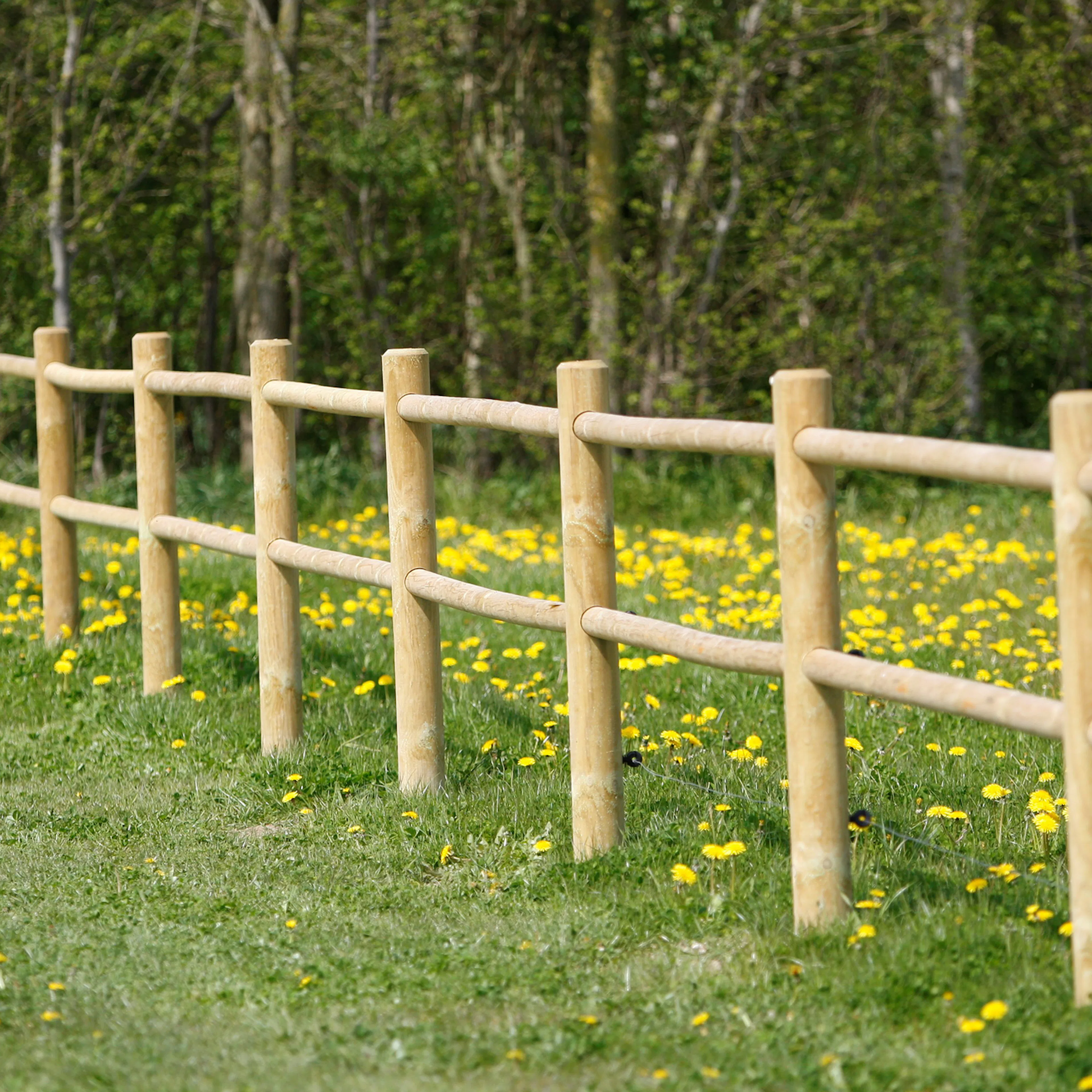 Häststängsel Hortus