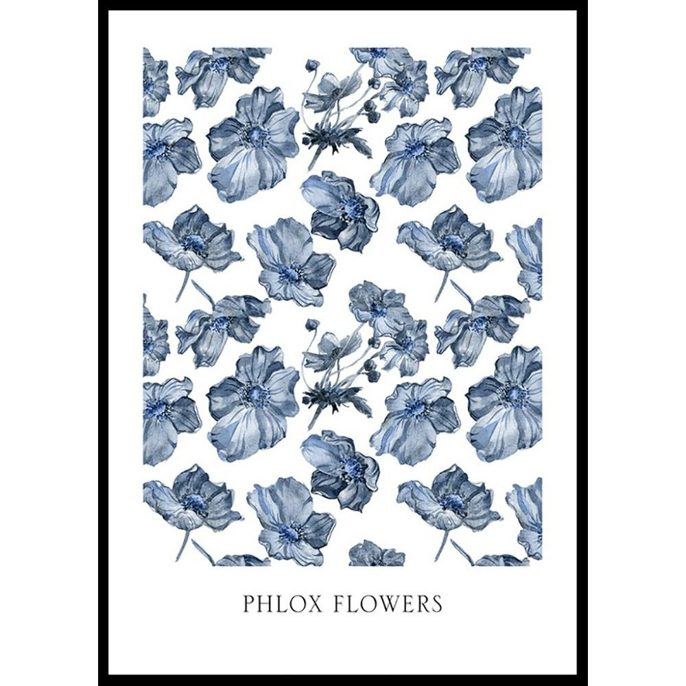 Poster Gallerix Phlox Flowers