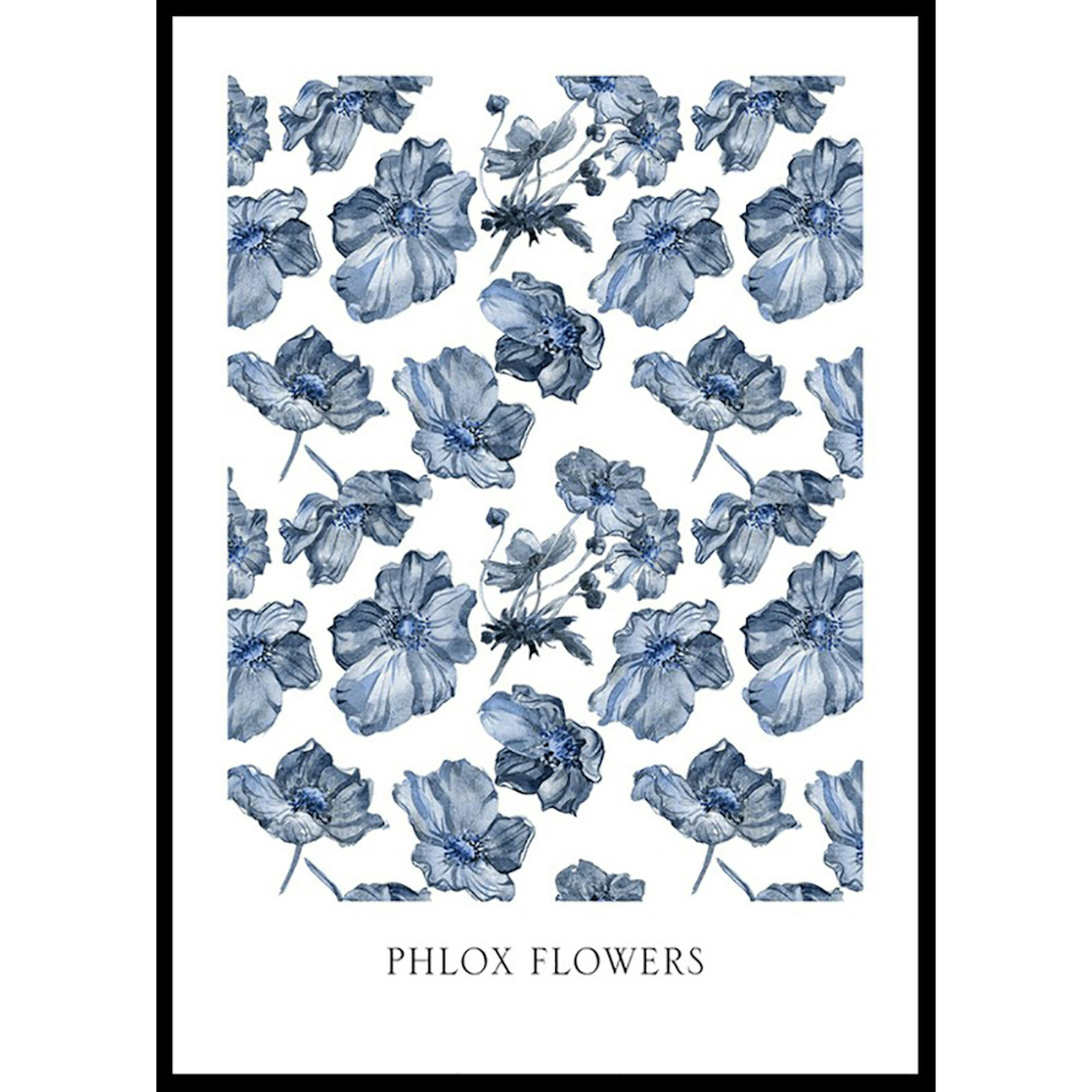 Poster Gallerix Phlox Flowers