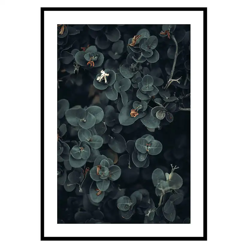 Poster Gallerix Dark And Green Botanical