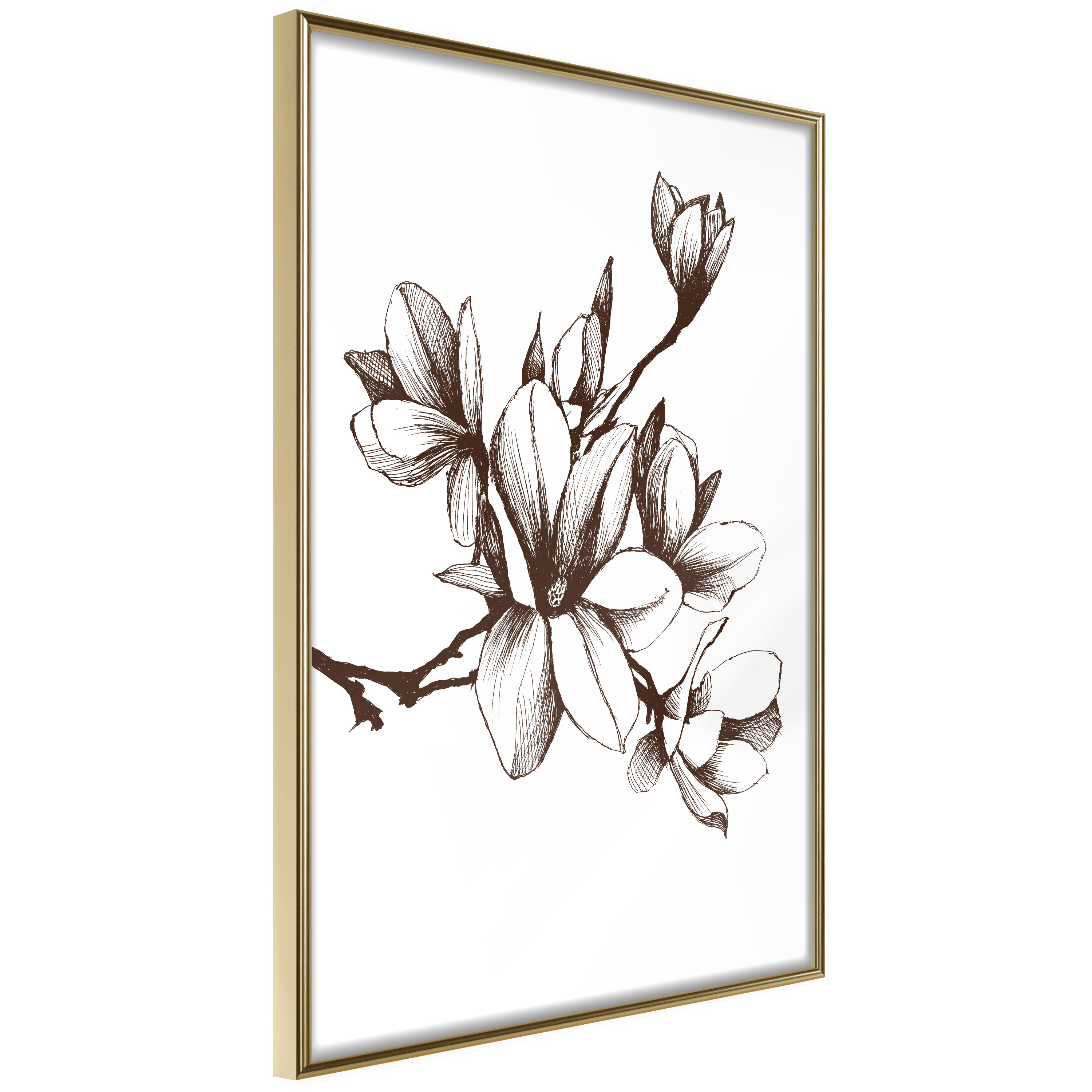Affisch - Renaissance Magnolias [Poster] 20x30 Guld ram, 20x30 cm