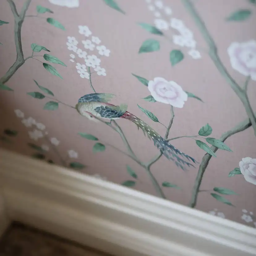 Tapet Boråstapeter Paradise Birds 1901
