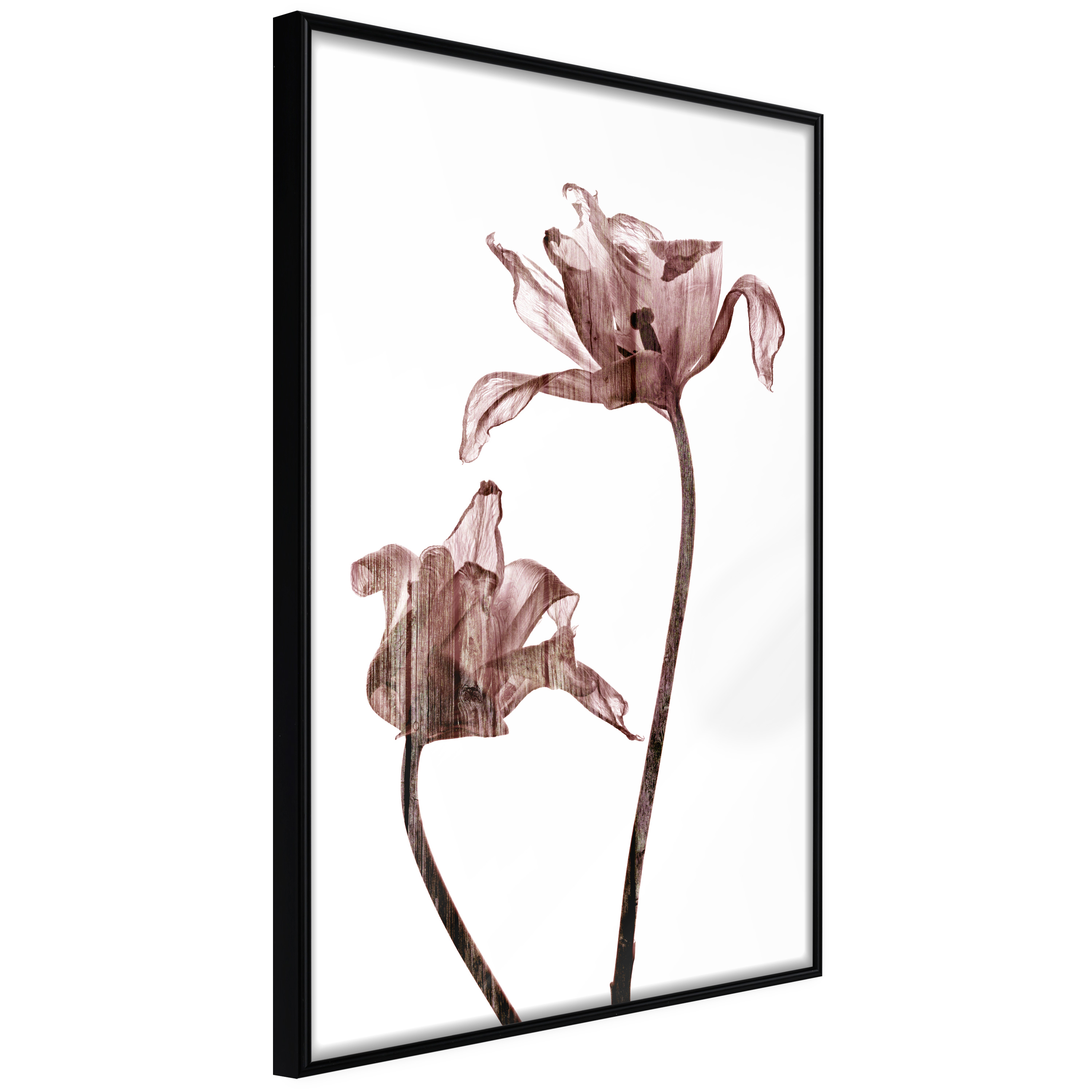 Affisch - Illuminated Closeness [Poster] 30x45 Svart ram, 30x45 cm