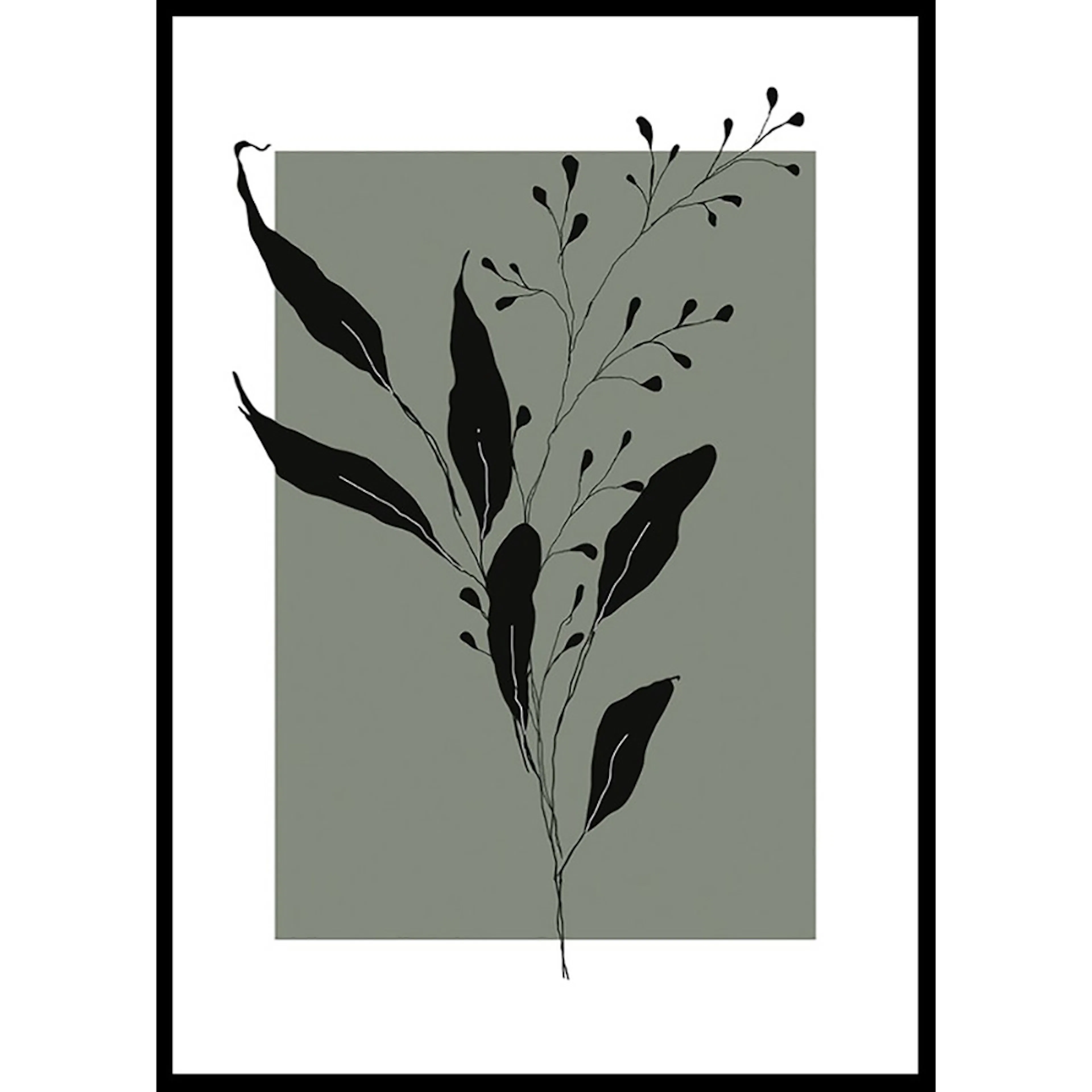 Poster Gallerix Botanical Sketch No1