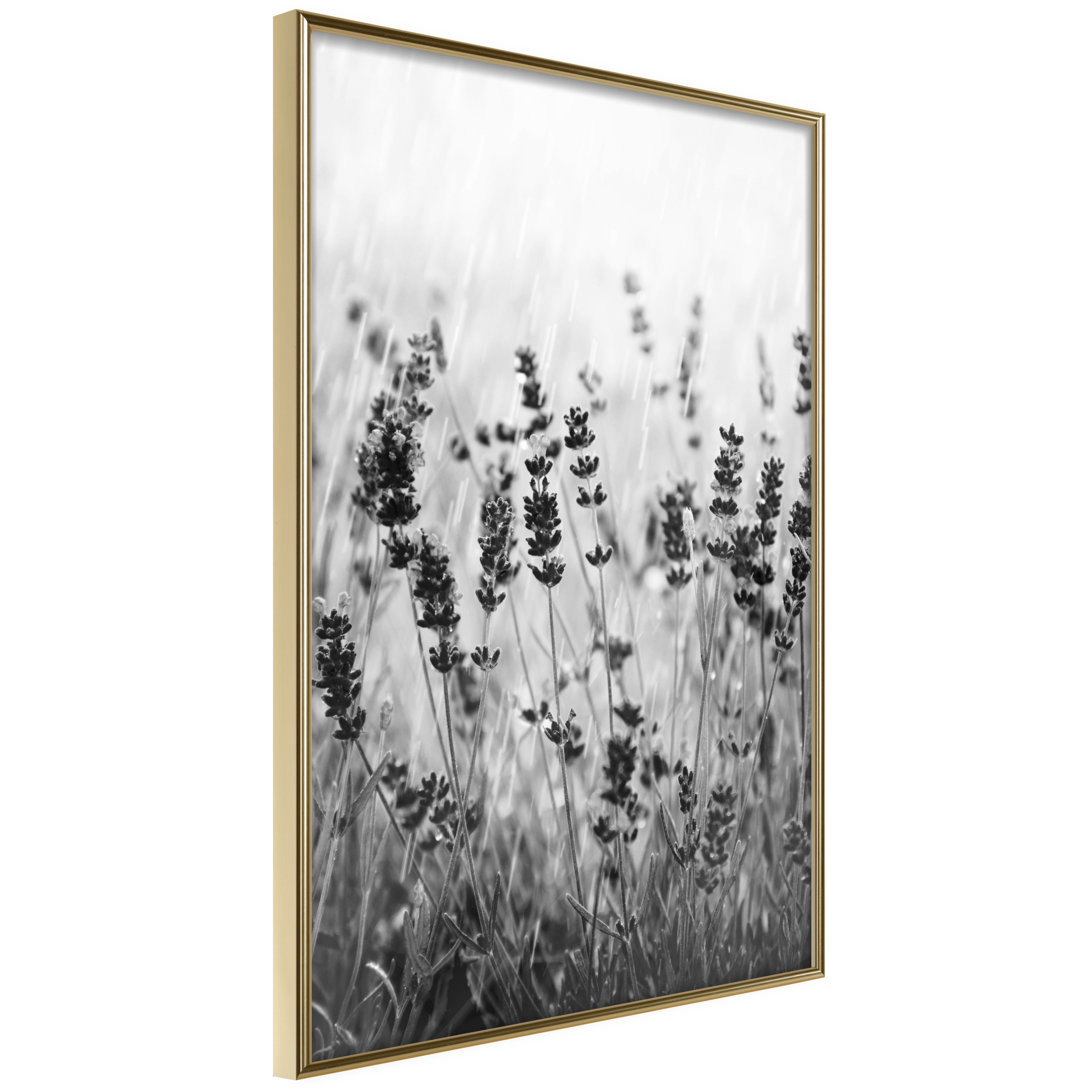Poster Artgeist Affisch Lavender in the Rain