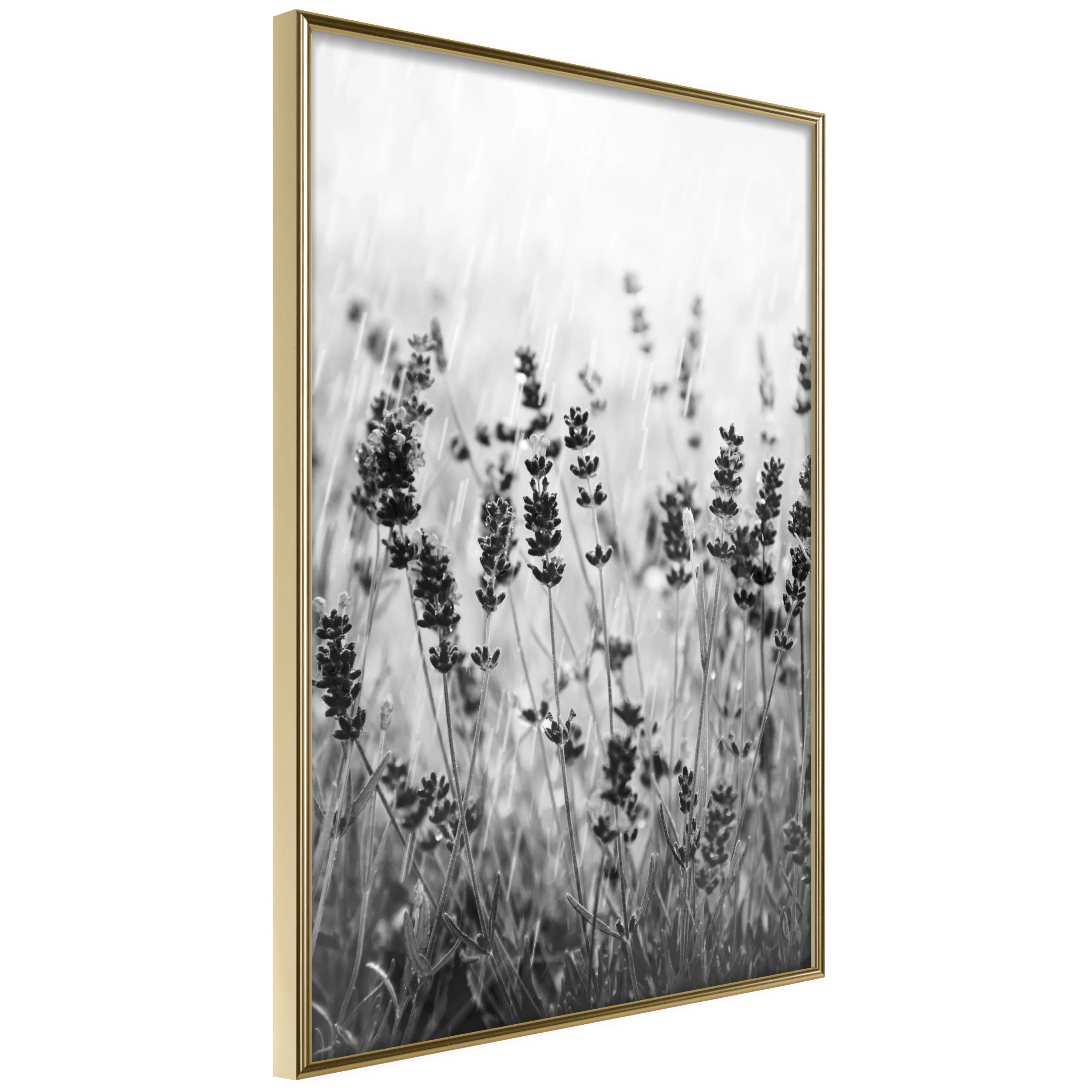Poster Artgeist Affisch Lavender in the Rain