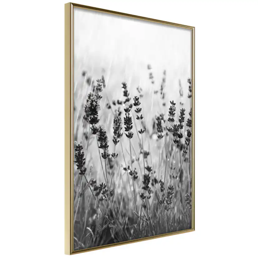 Poster Artgeist Affisch Lavender in the Rain