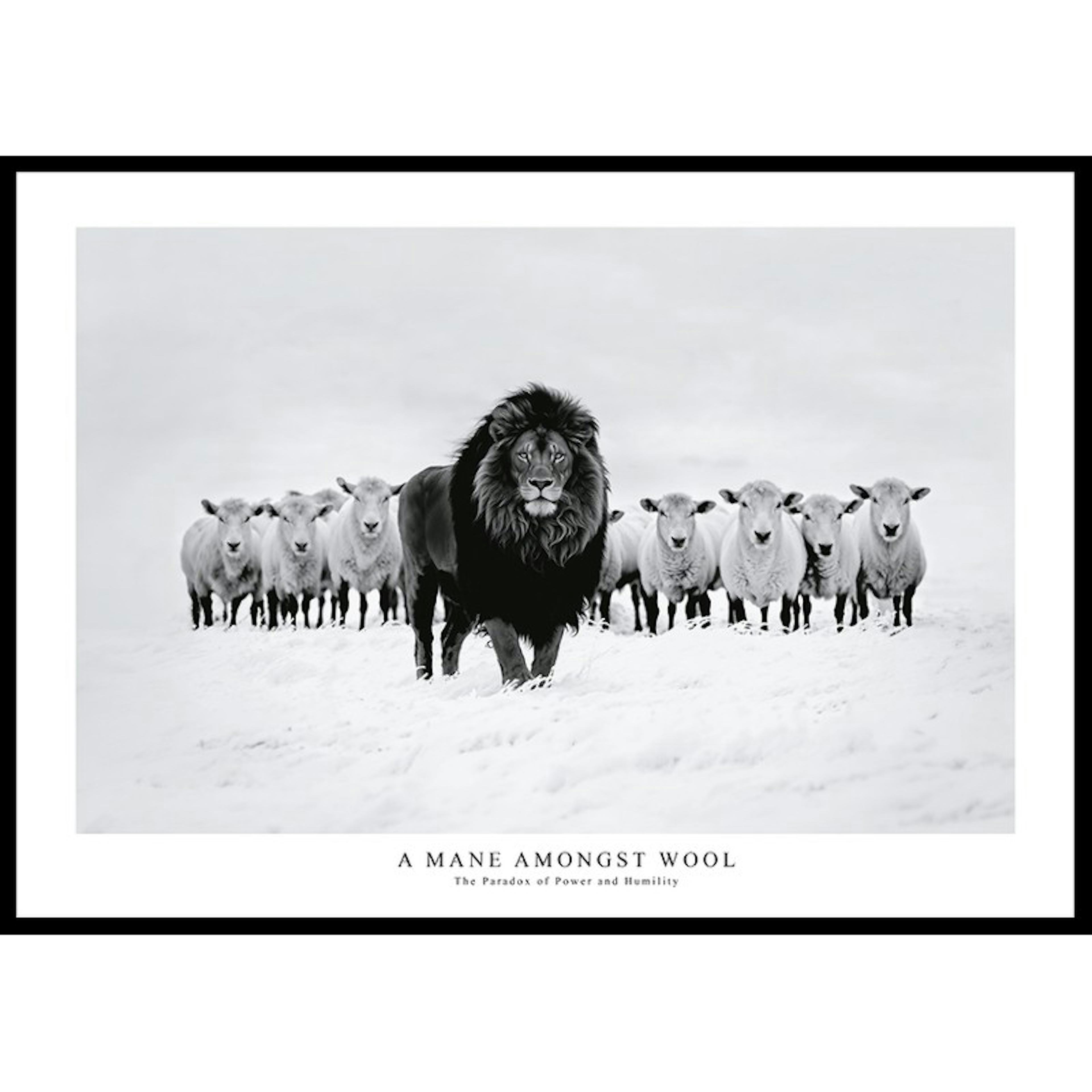 Poster Gallerix A Mane Amongst Wool