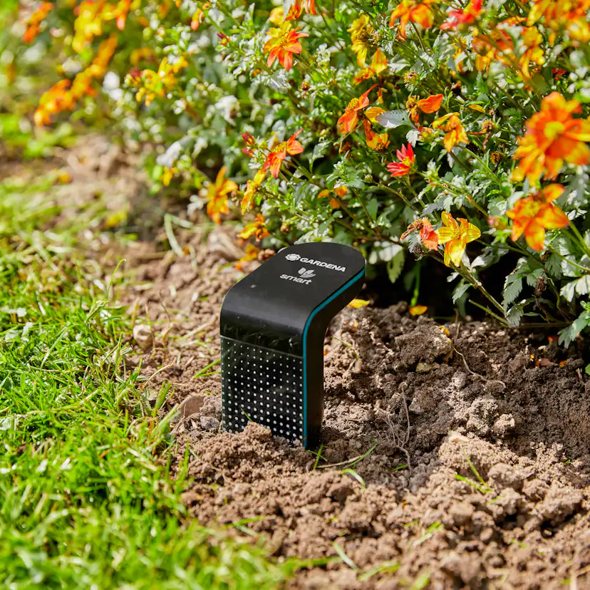 Smart Sensor Gardena