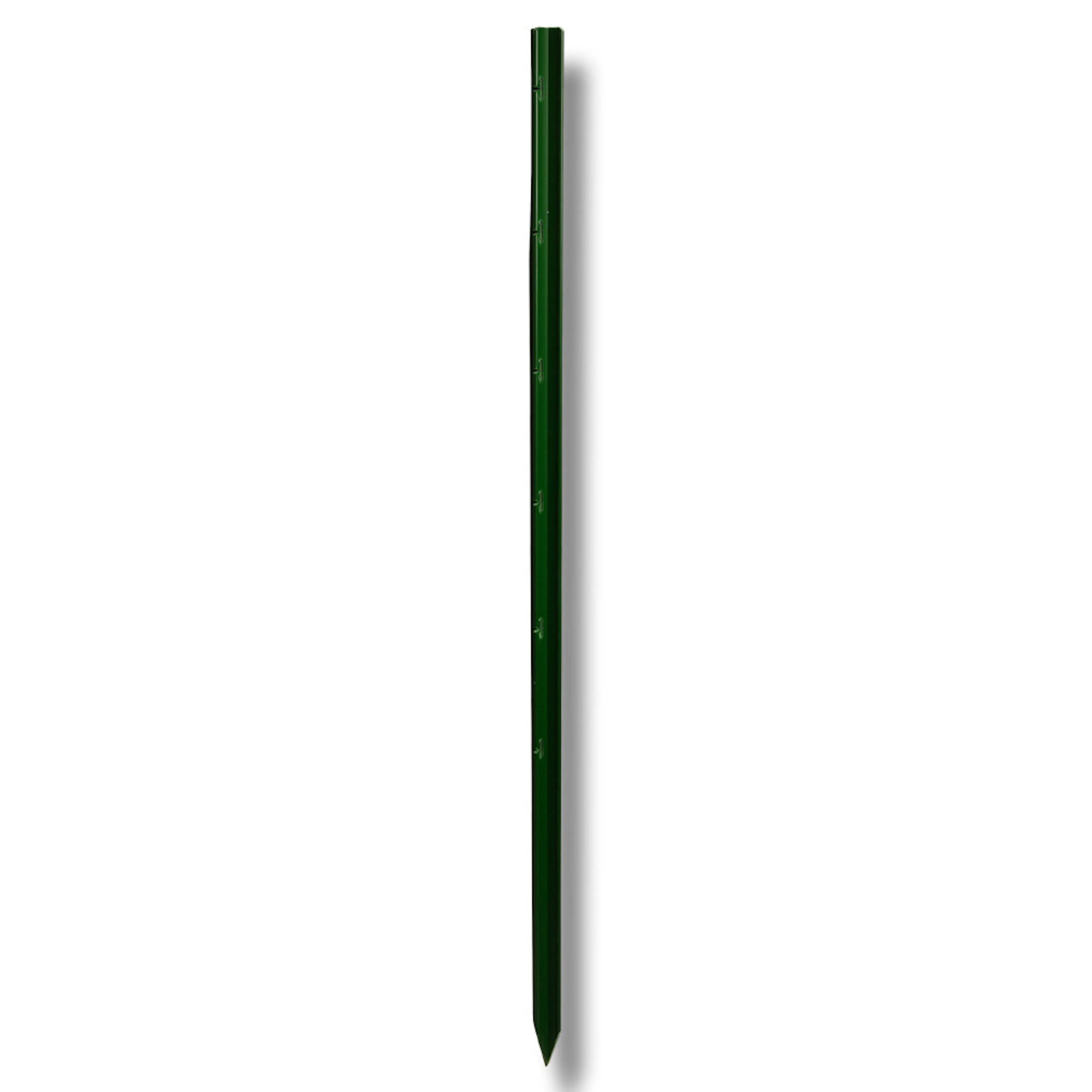 Grön