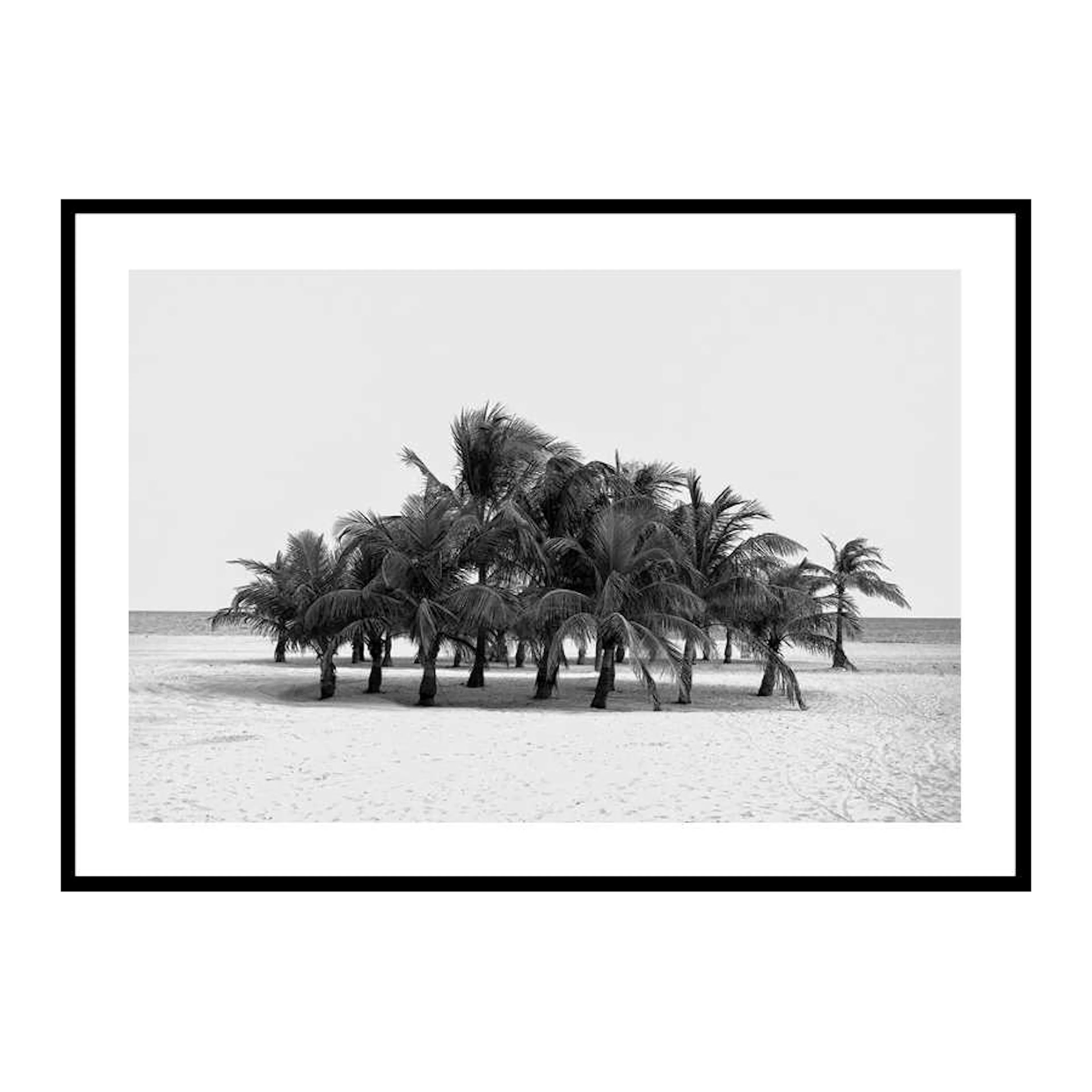 Group Of Palms 30x40 cm