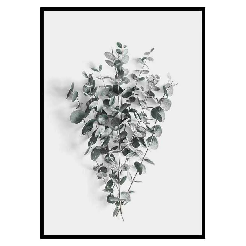 Poster Gallerix Eucalyptus No5