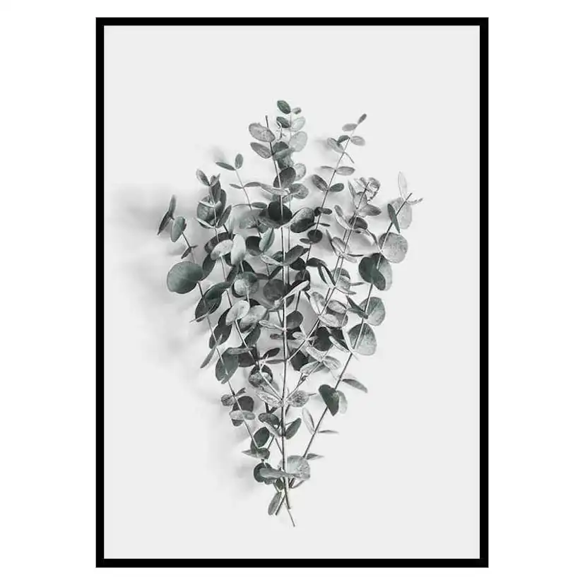 Poster Gallerix Eucalyptus No5