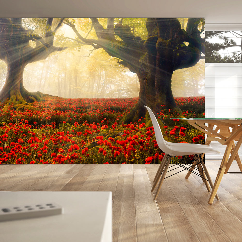Fototapet Arkiio Morning Among Poppies