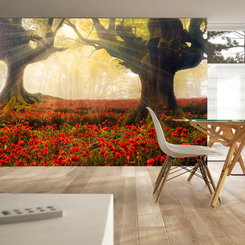 Fototapet Arkiio Morning Among Poppies