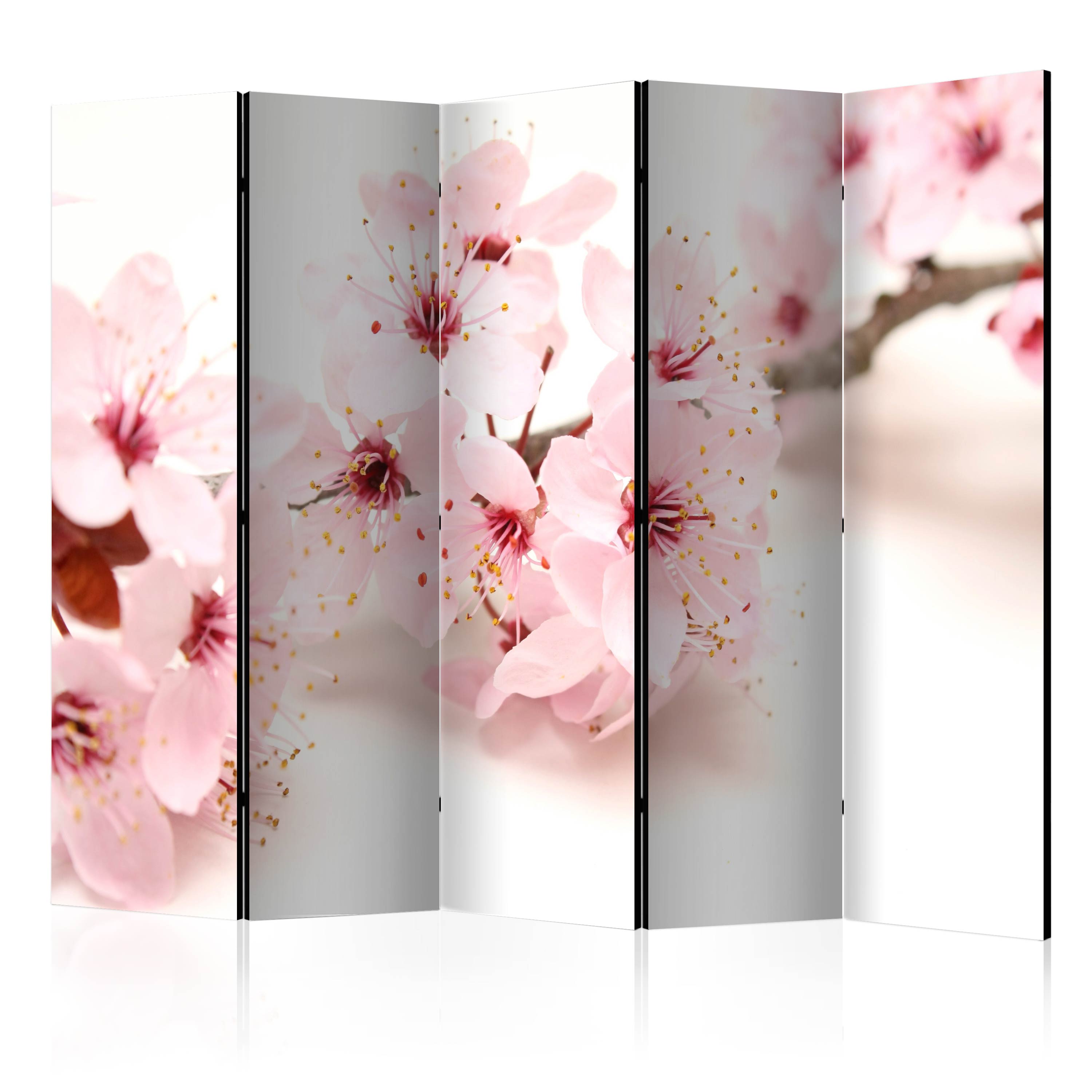 Rumsavdelare Arkiio Cherry Blossom II 225x172 cm