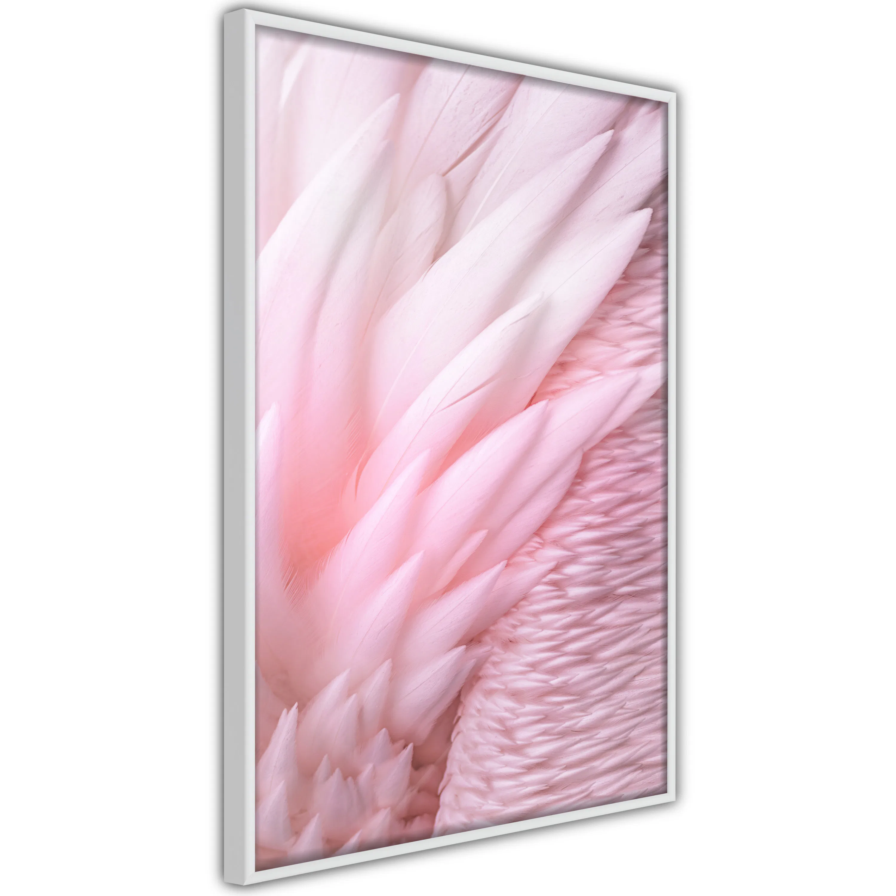 Poster Artgeist Affisch Feathers