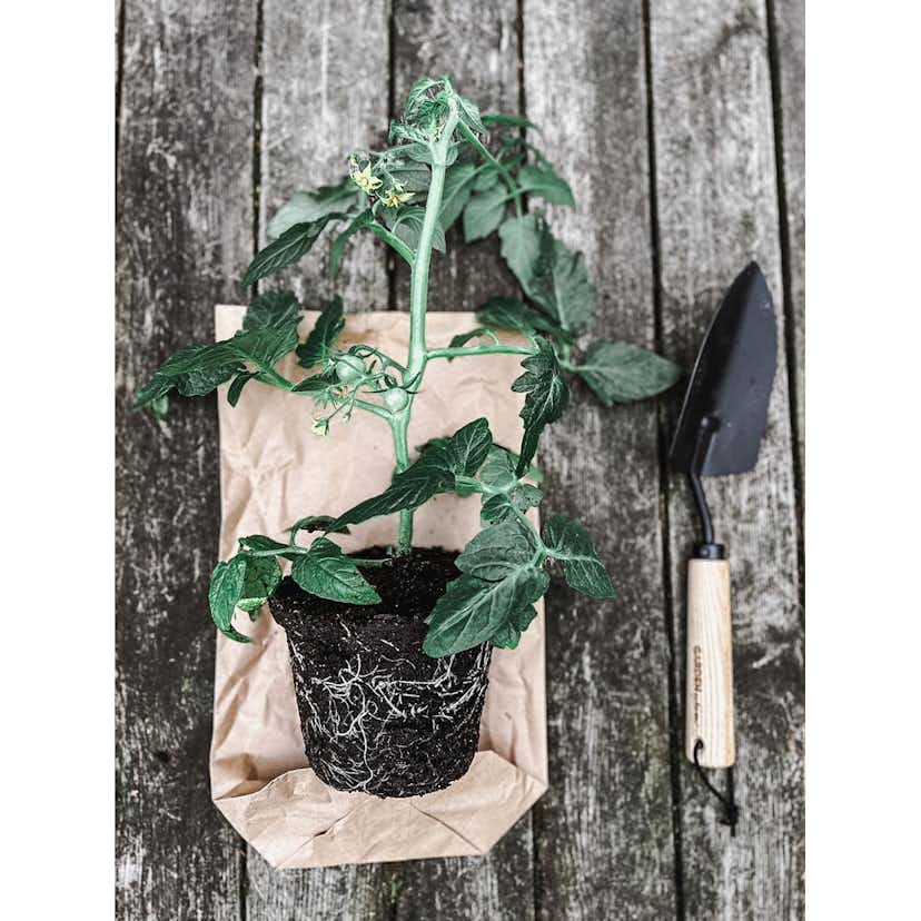 Trädgårdsspade by Benson