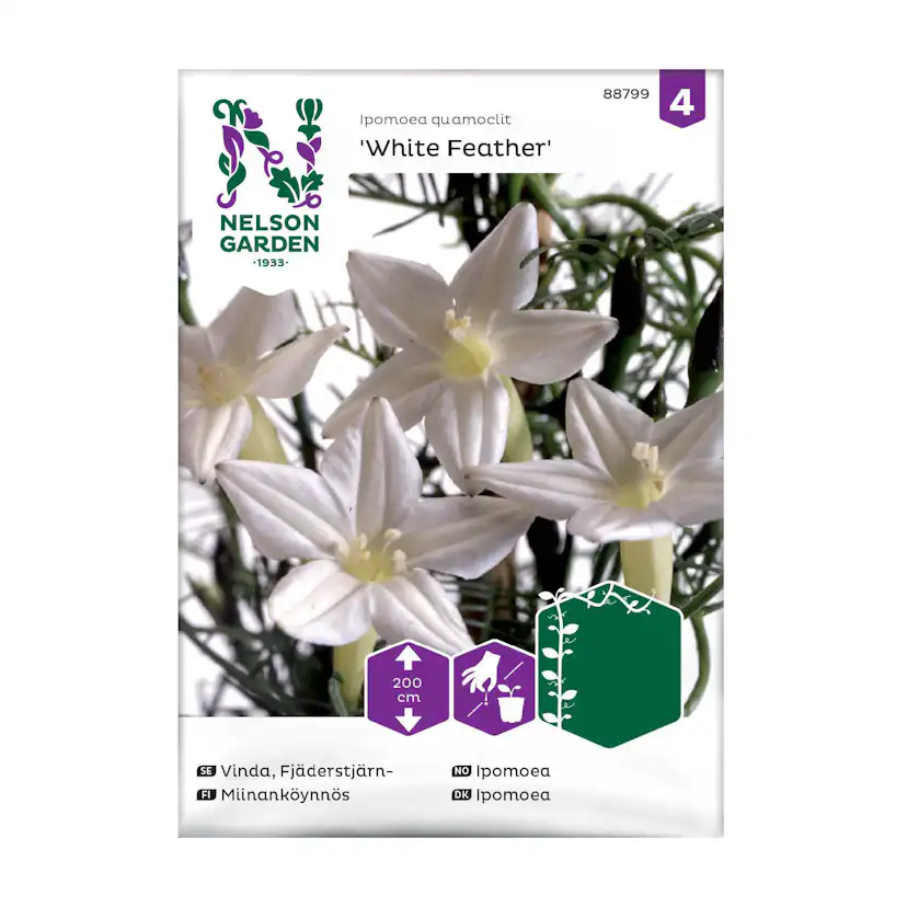 Frö Fjäderstjärnvinda Nelson Garden White Feather