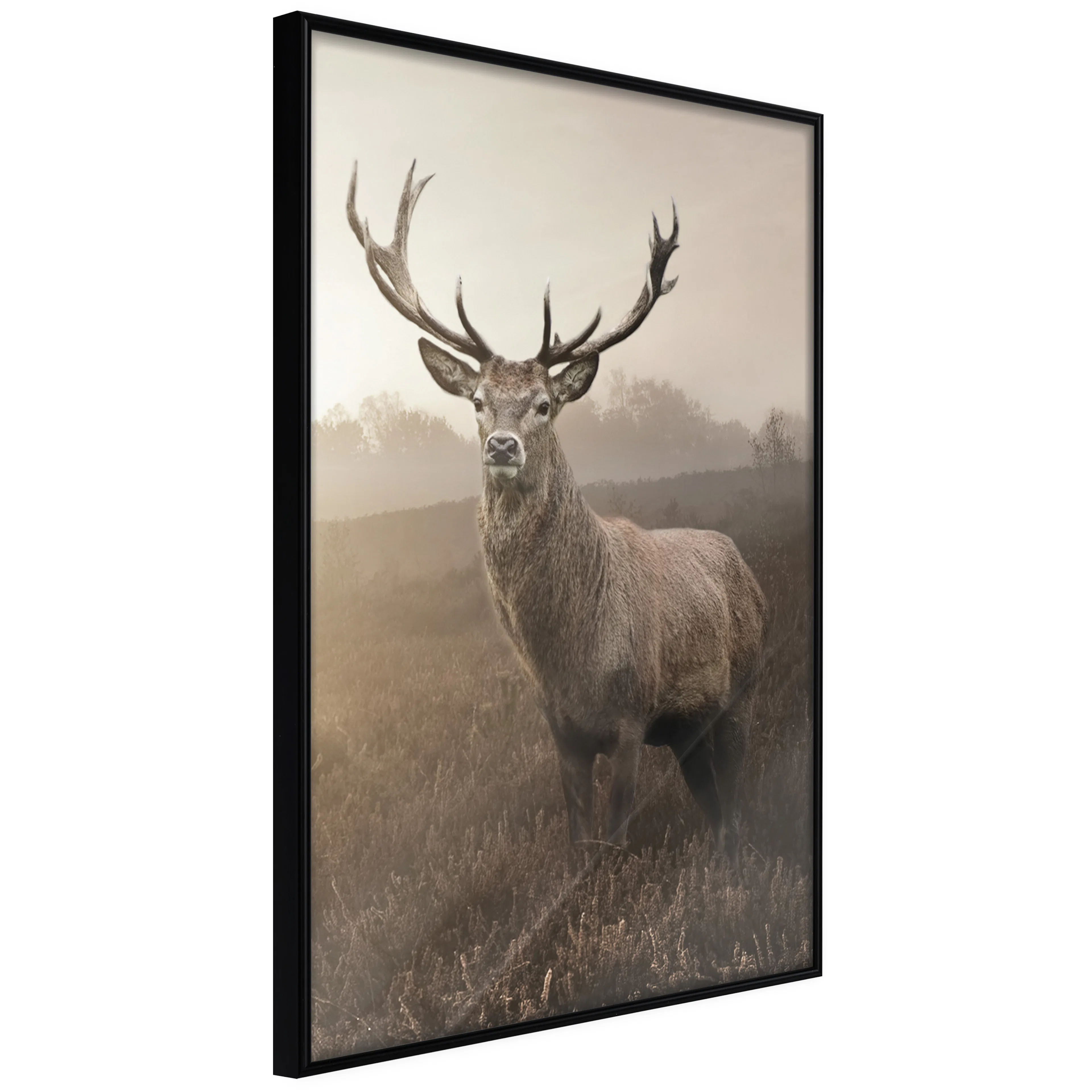 Affisch - Deer in Sepia [Poster] 40x60 Svart ram, 40x60 cm