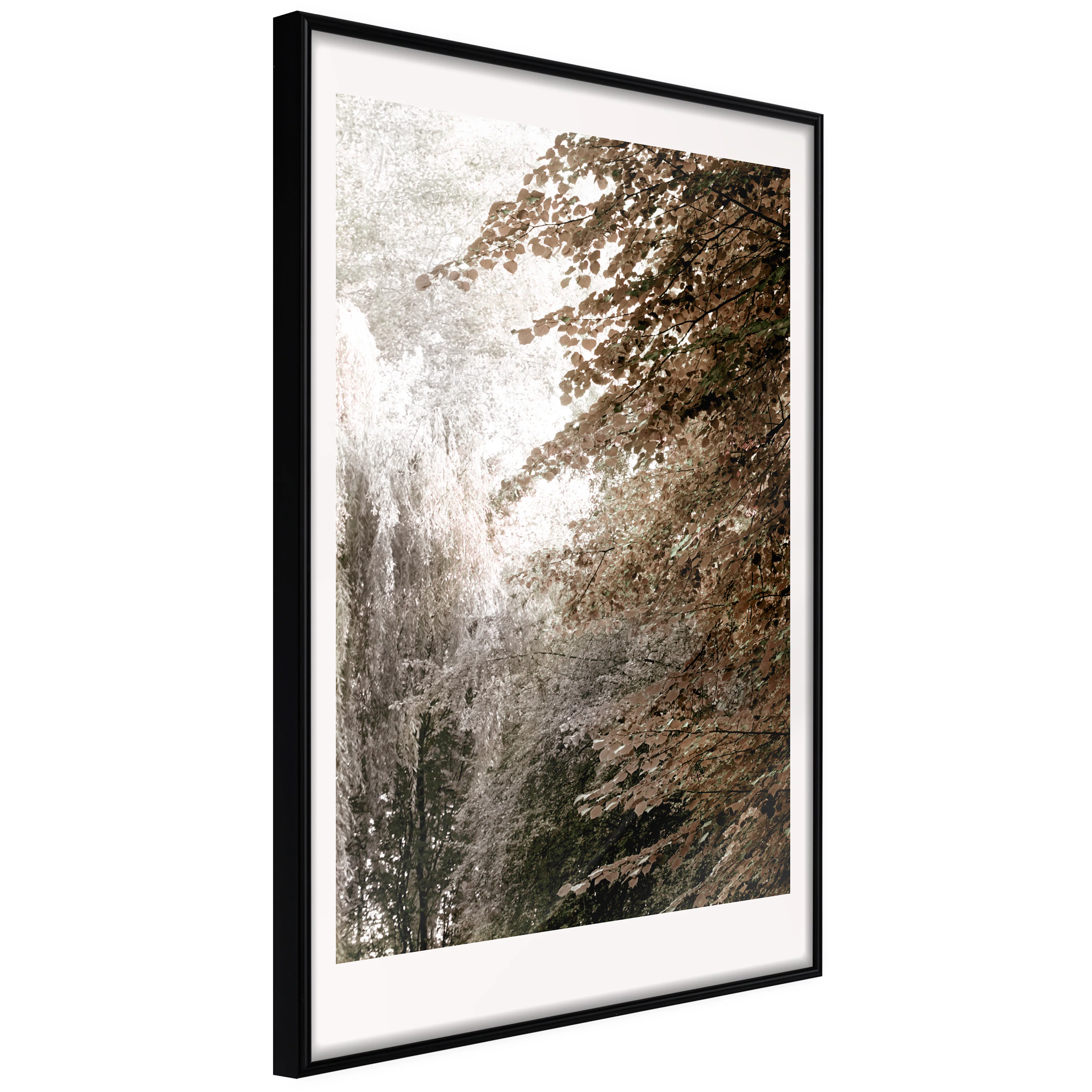 Affisch - Sepia Park [Poster] 40x60 Svart ram, 40x60 cm