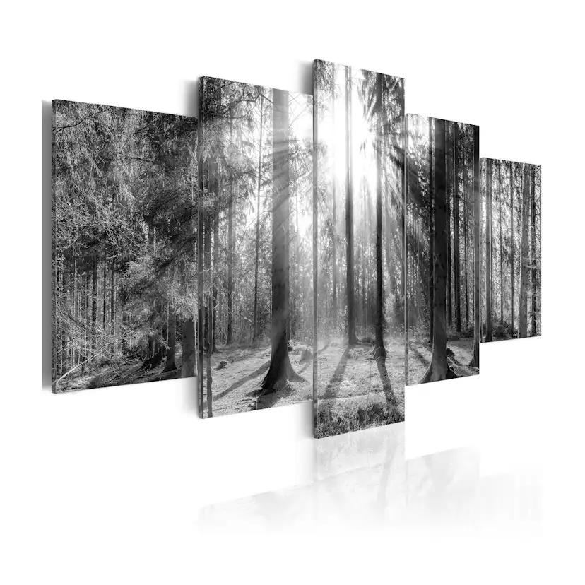 Tavla Arkiio Forest Of Memories