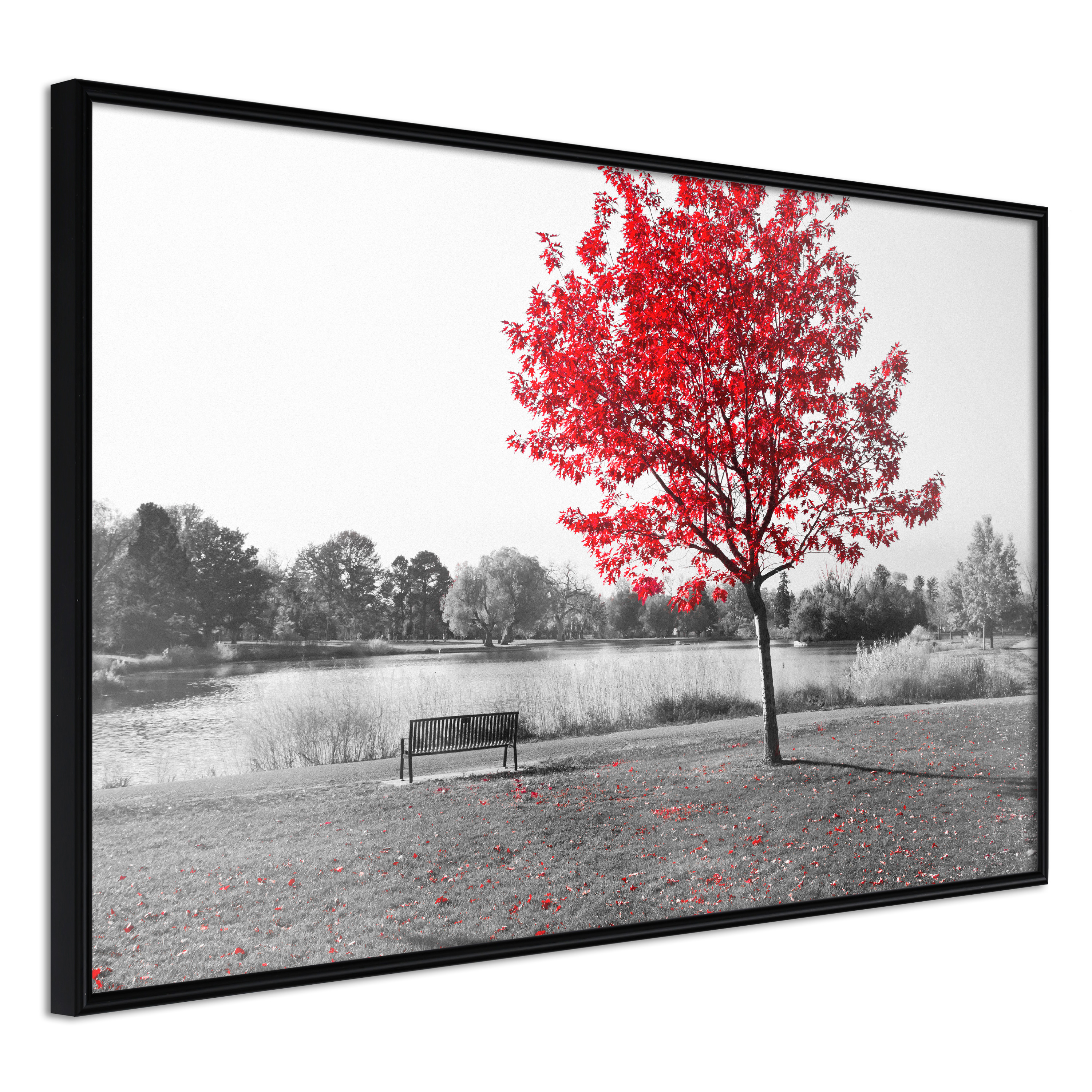 Affisch - Red Tree [Poster] 30x20 Svart ram, 30x20 cm