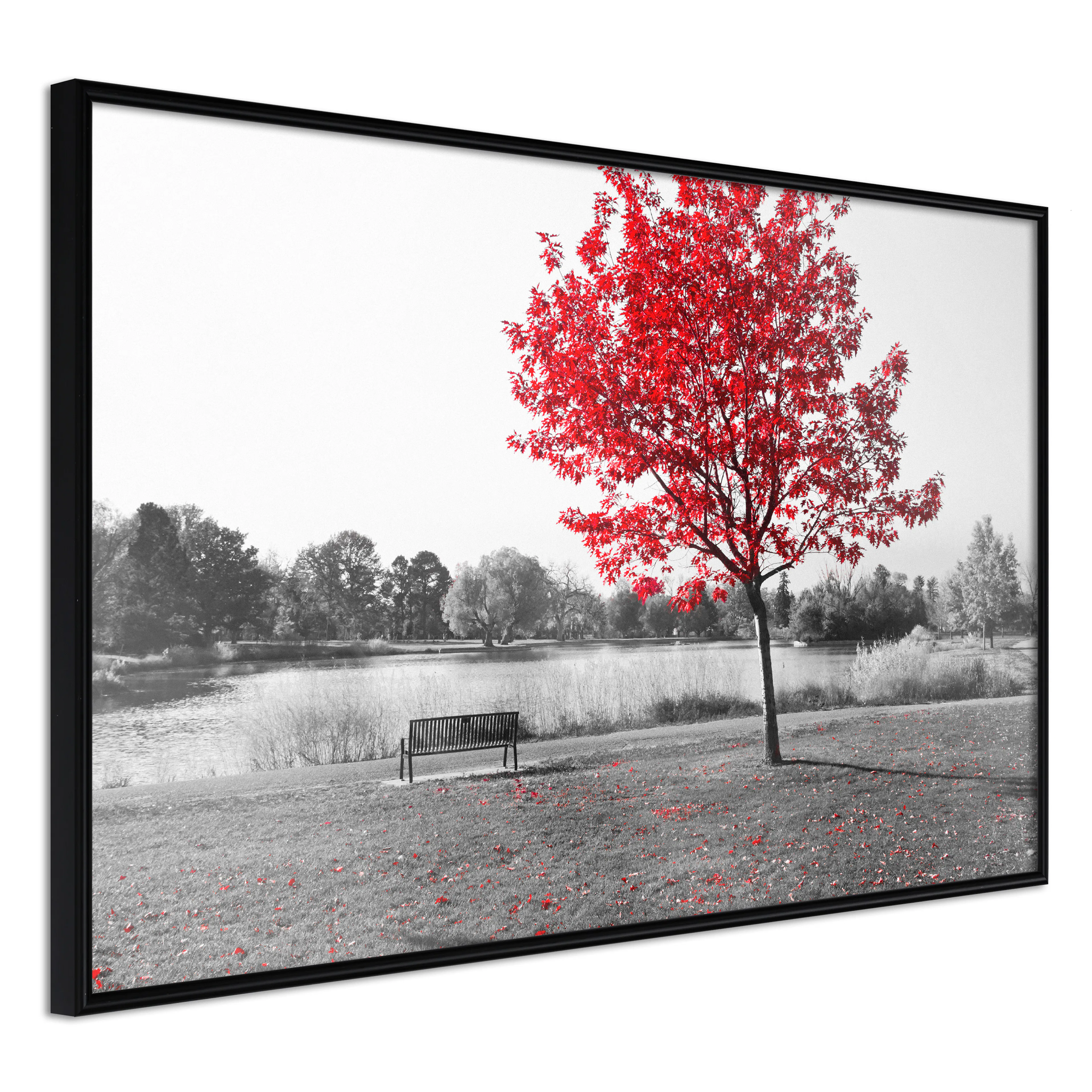 Affisch - Red Tree [Poster] 60x40 Svart ram, 60x40 cm