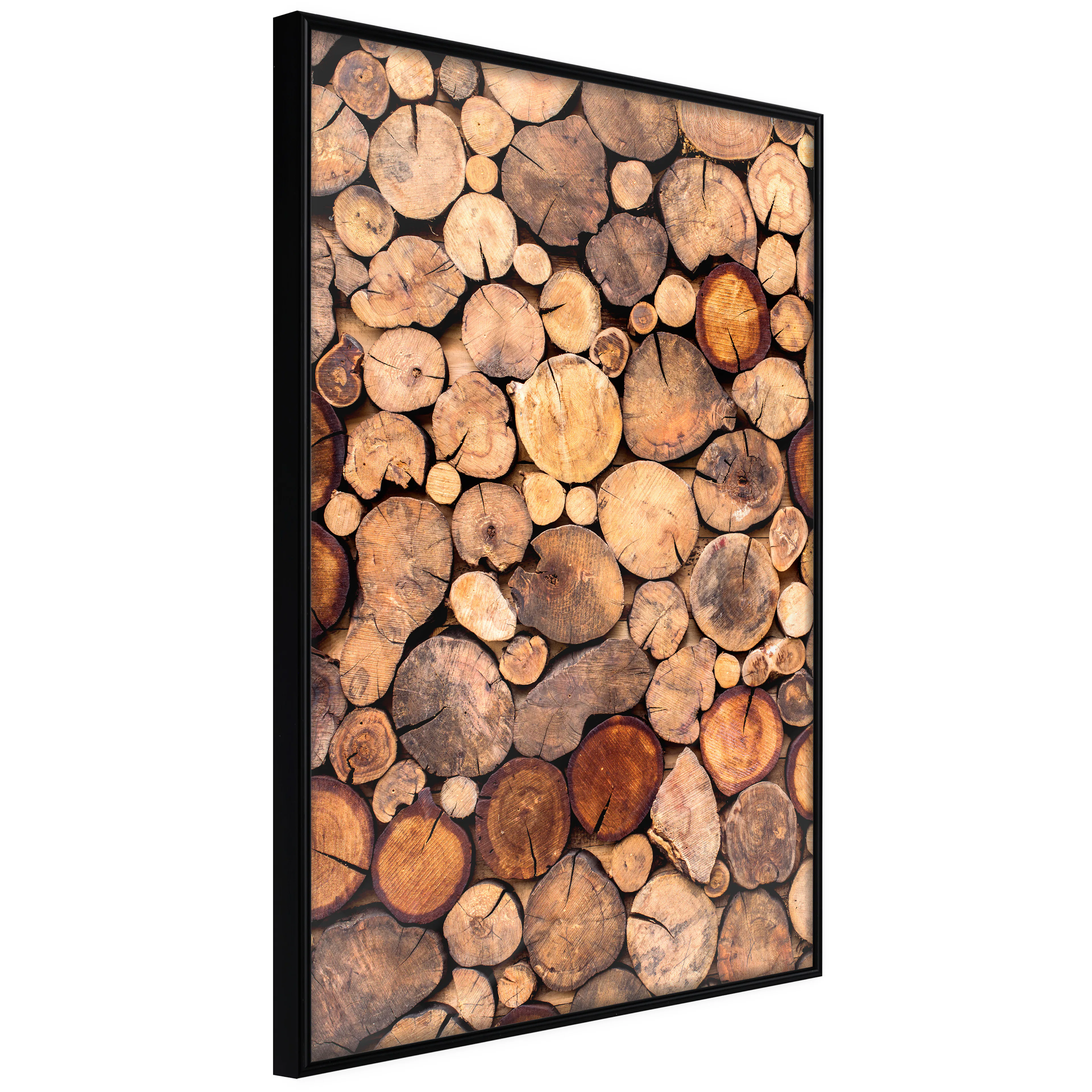 Affisch - Inside the Tree [Poster] 40x60 Svart ram, 40x60 cm