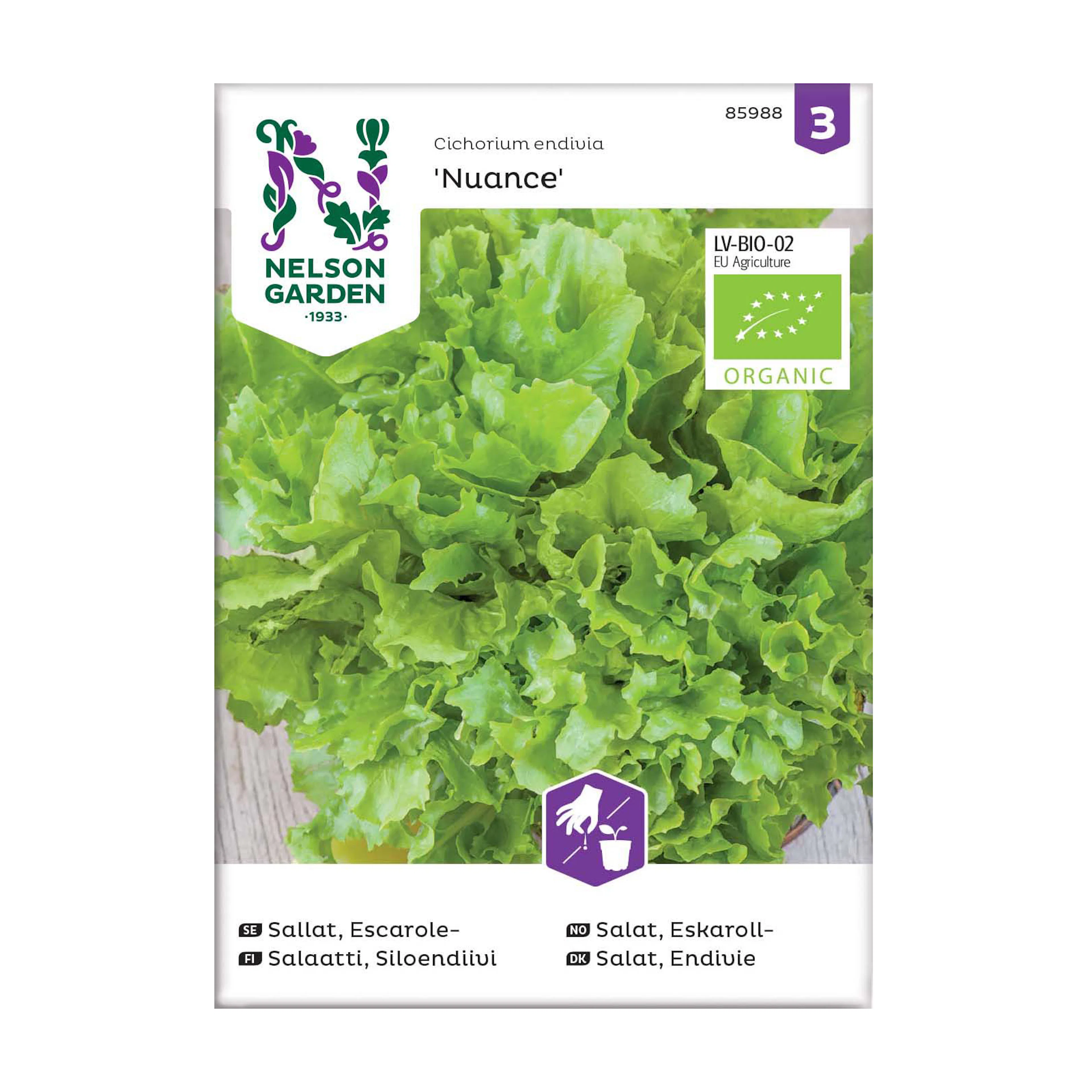 Frö Escarolesallat Nelson Garden Nuance Organic