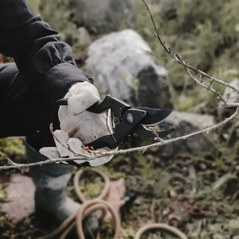 Sekatör by Benson Basic