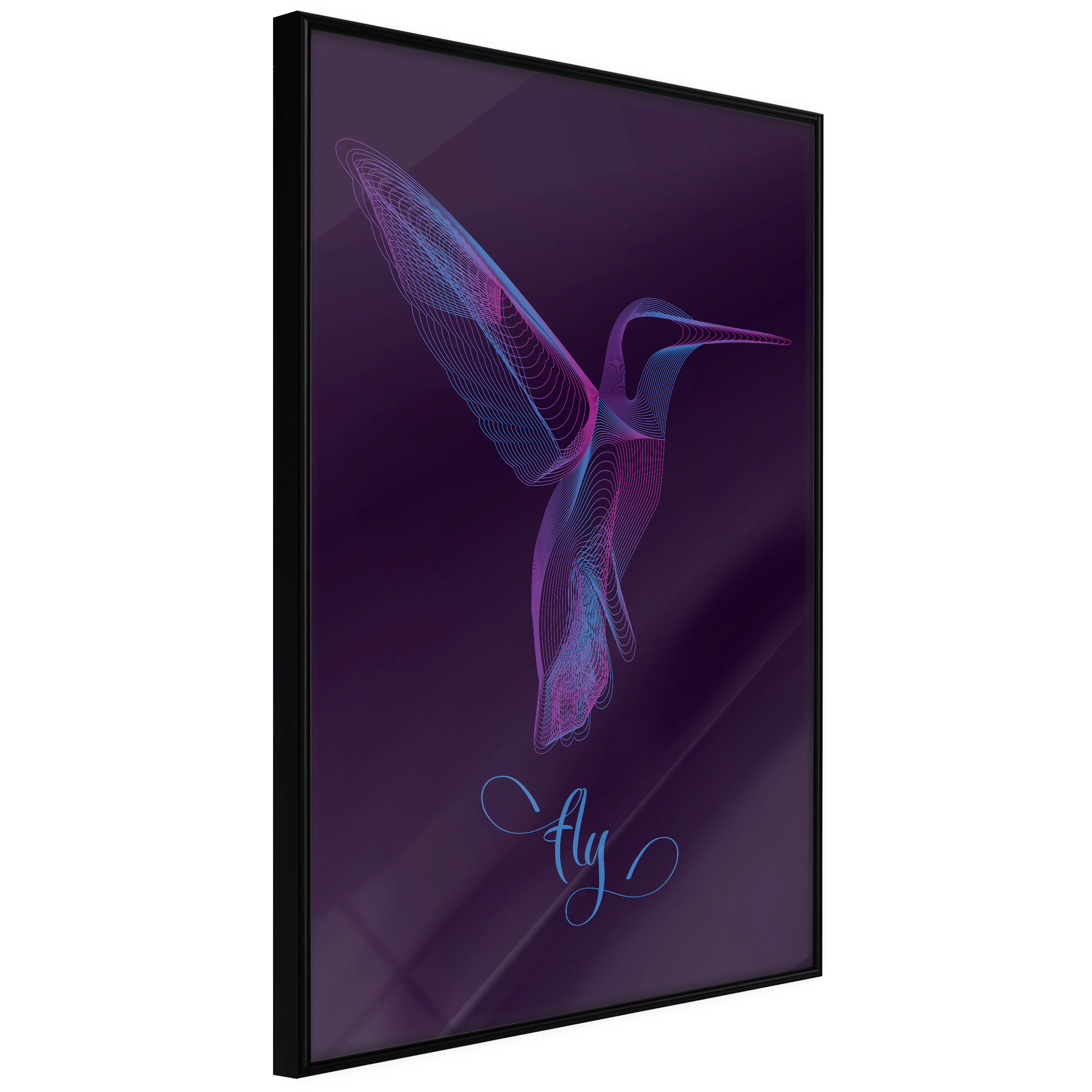 Affisch - Purple Hummingbird [Poster] 40x60 Svart ram, 40x60 cm