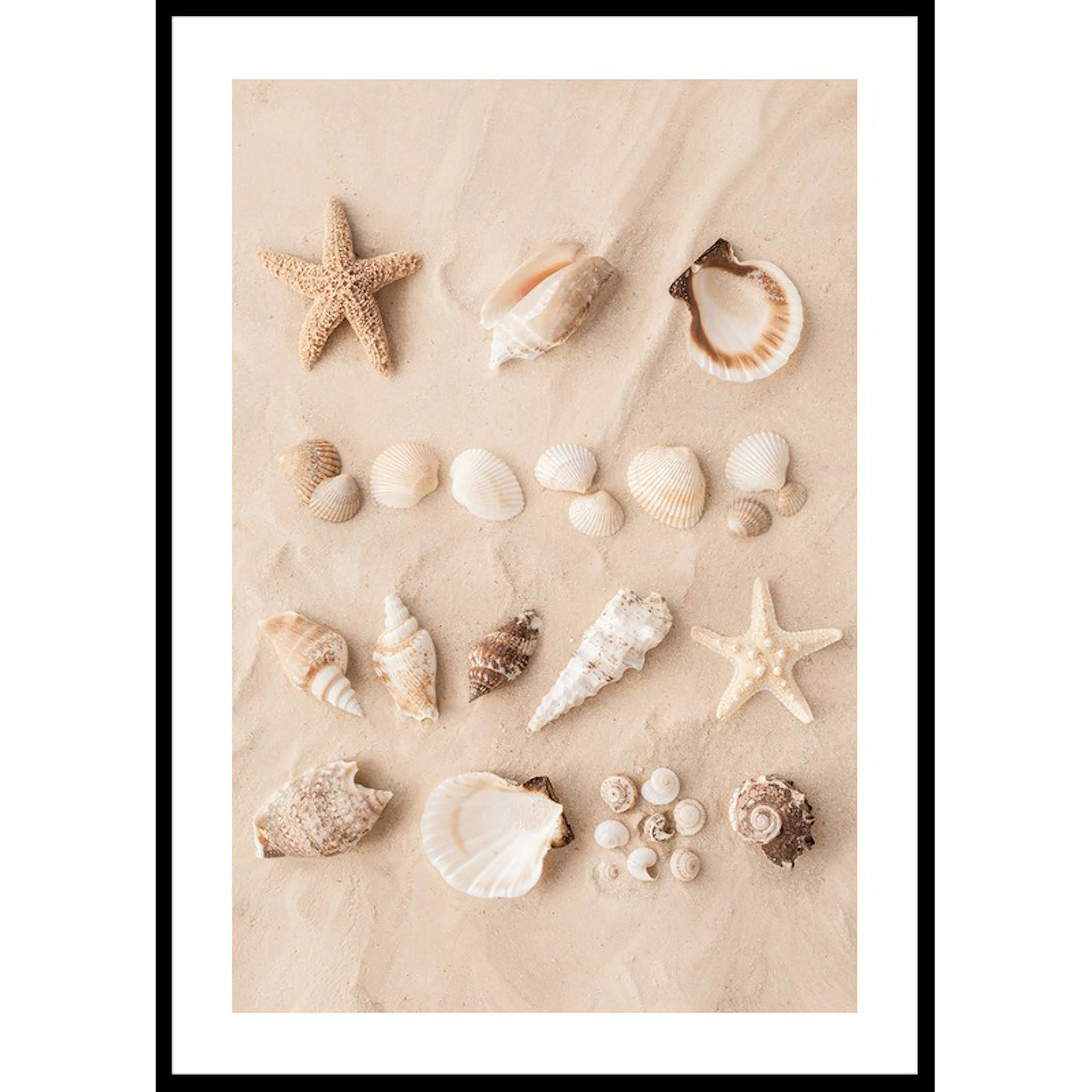 Poster Gallerix Coastal Shells