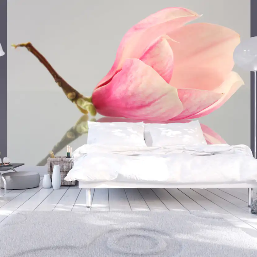 Fototapet Arkiio En Ensam Magnolia Blomma