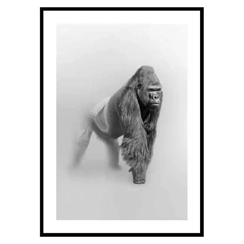 Poster Gallerix Faded Gorilla