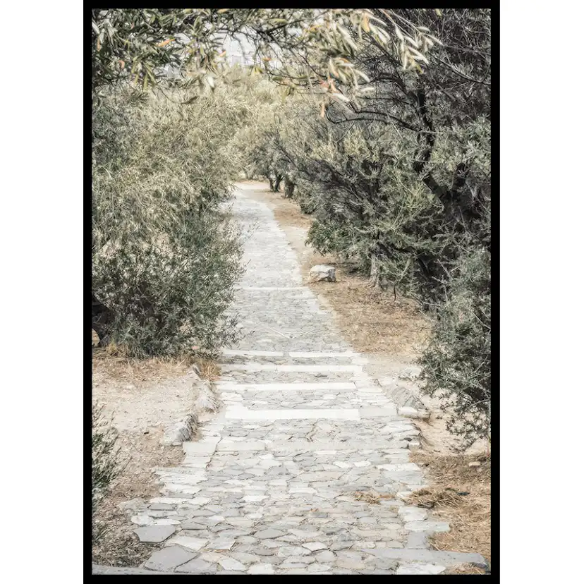 Poster Gallerix Olive Tree Garden